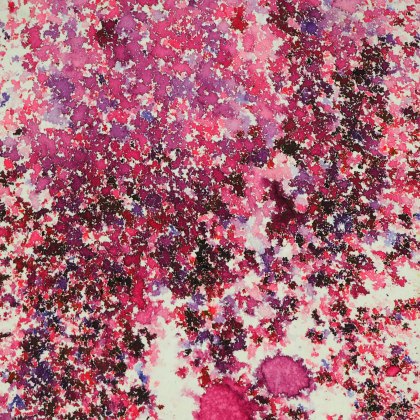Cosmic Shimmer Pixie Burst Very Berry | 25ml