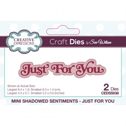 Sue Wilson Craft Dies Mini Shadowed Sentiments Collection Just For You | Set of 2