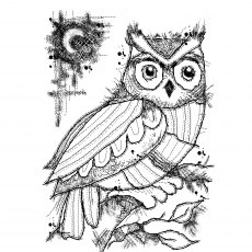 Woodware Clear Stamps Midnight Owl | Set of 2