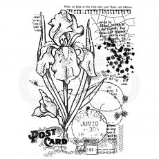 Woodware Clear Stamps Vintage Iris