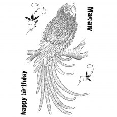 Woodware Clear Stamps Magnificent Macaw | Set of 5