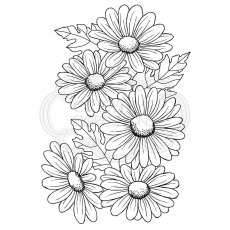 Woodware Clear Stamps Five Daisies
