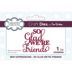 Sue Wilson Craft Dies Mini Expressions Collection So Glad We're Friends