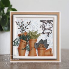 Sue Wilson Craft Dies Mini Expressions Collection Birthdays Are The Best Days