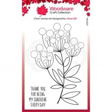 Woodware Clear Stamps Bubble Bloom Trinny | Set of 2