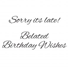 Woodware Clear Stamps Just Words Sorry Its Late Belated Birthday Wishes | Set of 2