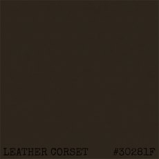 IndigoBlu Artists Translucent Acrylic Paint Leather Corset | 20ml