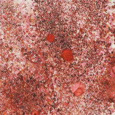 Cosmic Shimmer Pixie Burst Rusty Red | 25ml