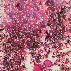 Cosmic Shimmer Pixie Burst Very Berry | 25ml