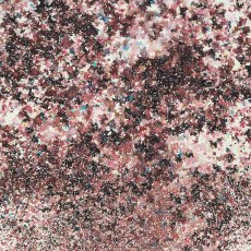 Cosmic Shimmer Pixie Burst Black Cherry | 25ml