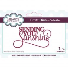 Sue Wilson Craft Dies Mini Expressions Collection Sending You Sunshine