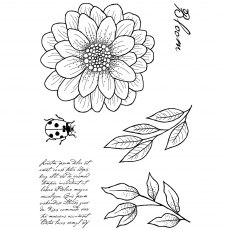 Woodware Clear Stamps Ditsy Daisy | Set of 6
