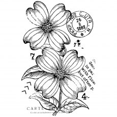 Woodware Clear Stamps Dogwood Flowers