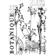 Creative Expressions Sam Poole Clear Stamp Botanical Collage