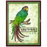 Woodware Woodware Clear Stamps Magnificent Macaw | Set of 5