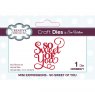 Sue Wilson Craft Dies Mini Expressions Collection So Sweet Of You
