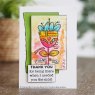 Woodware Woodware Clear Stamps Colourful Greetings | Set of 7