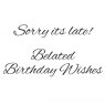 Woodware Clear Stamps Just Words Sorry Its Late Belated Birthday Wishes | Set of 2