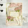 Sam Poole Creative Expressions Sam Poole Clear Stamp Set Timeless Roses | Set of 12