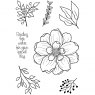 Woodware Woodware Clear Stamps Arrange Me | Set of 7