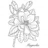 Woodware Woodware Clear Stamps Magnolia | Set of 2