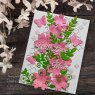 Jamie Rodgers Jamie Rodgers Craft Die Wings of Wonder Collection Cherry Blossoms | Set of 12