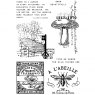 Sam Poole Creative Expressions Sam Poole Clear Stamp Snippets of Nature | Set of 7