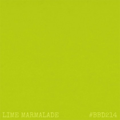 IndigoBlu Artists Translucent Acrylic Paint Lime Marmalade | 20ml