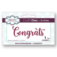 Sue Wilson Craft Dies Mini Expressions Collection Congrats