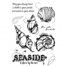 Woodware Clear Stamps Seashells | Set of 9