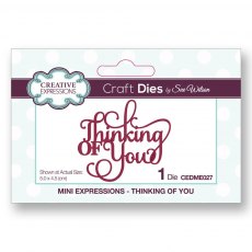 Sue Wilson Craft Dies Mini Expressions Collection Thinking Of You