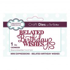 Sue Wilson Craft Dies Mini Expressions Collection Belated Birthday Wishes