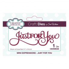 Sue Wilson Craft Dies Mini Expressions Collection Just For You
