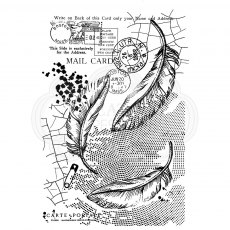 Woodware Clear Stamps Feathers