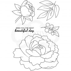 Woodware Clear Stamps Peony Bloom | Set of 5