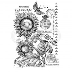 Woodware Clear Stamps Vintage Sunflower