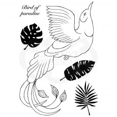 Woodware Clear Stamps Paradise Bird | Set of 5
