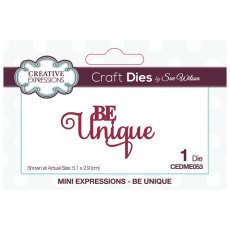 Sue Wilson Craft Dies Mini Expressions Collection Be Unique