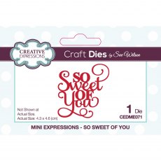 Sue Wilson Craft Dies Mini Expressions Collection So Sweet Of You