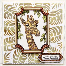 Sue Wilson Craft Dies Frames & Tags Collection Safari Tags | Set of 13