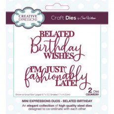 Sue Wilson Craft Dies Mini Expressions Duos Collection Belated Birthday | Set of 2