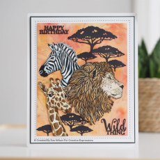 Creative Expressions Pre Cut Rubber Stamp Zebra