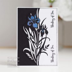 Creative Expressions Craft Dies Paper Cuts Collection Iris Edger