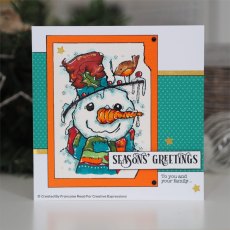 Woodware Clear Stamps Mr Frosty | Set of 5