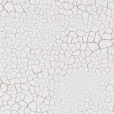 Cosmic Shimmer Crackle Paint Warm White | 50ml