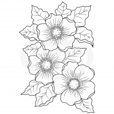 Woodware Clear Stamps Scented Blooms