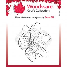 Woodware Clear Stamps Mini Garden Spray