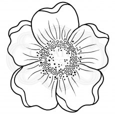 Woodware Clear Stamps Mini Scented Bloom