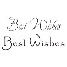 Woodware Clear Stamps Just Words Best Wishes | Set of 2