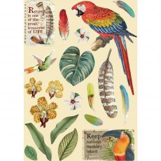 Stamperia Coloured Wooden Frame Amazonia Parrot